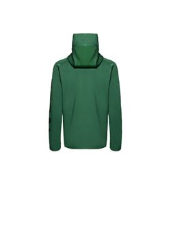 Imagen de SUDADERA CON CAPUCHA logotipo manga hombre